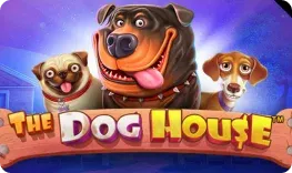 Winmaker Casino – The Dog House